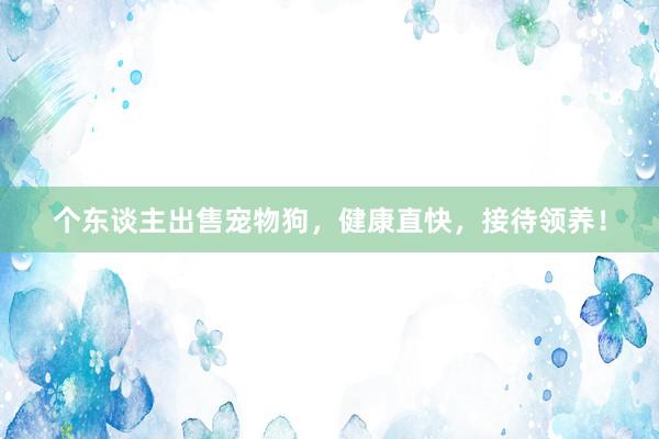 个东谈主出售宠物狗，健康直快，接待领养！