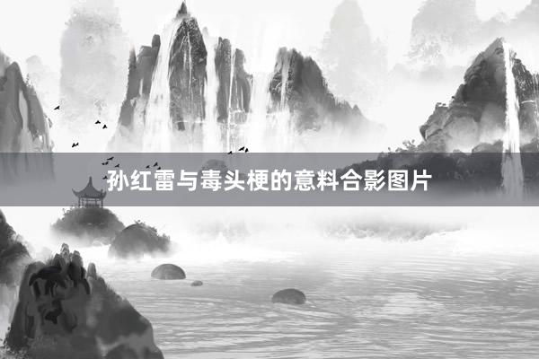 孙红雷与毒头梗的意料合影图片